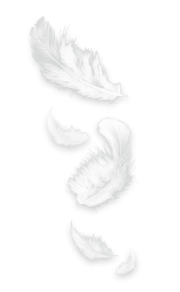 plumes